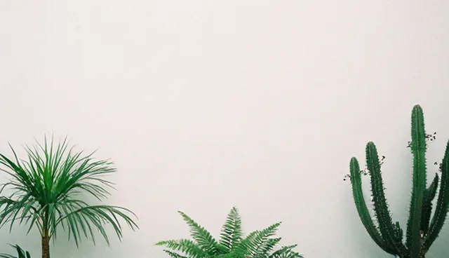 技术服务中的限制分析与适用情况说明